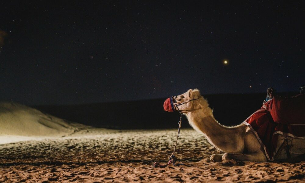 What is driving Dubai's cryptocurrency market to do "fantastically well"?