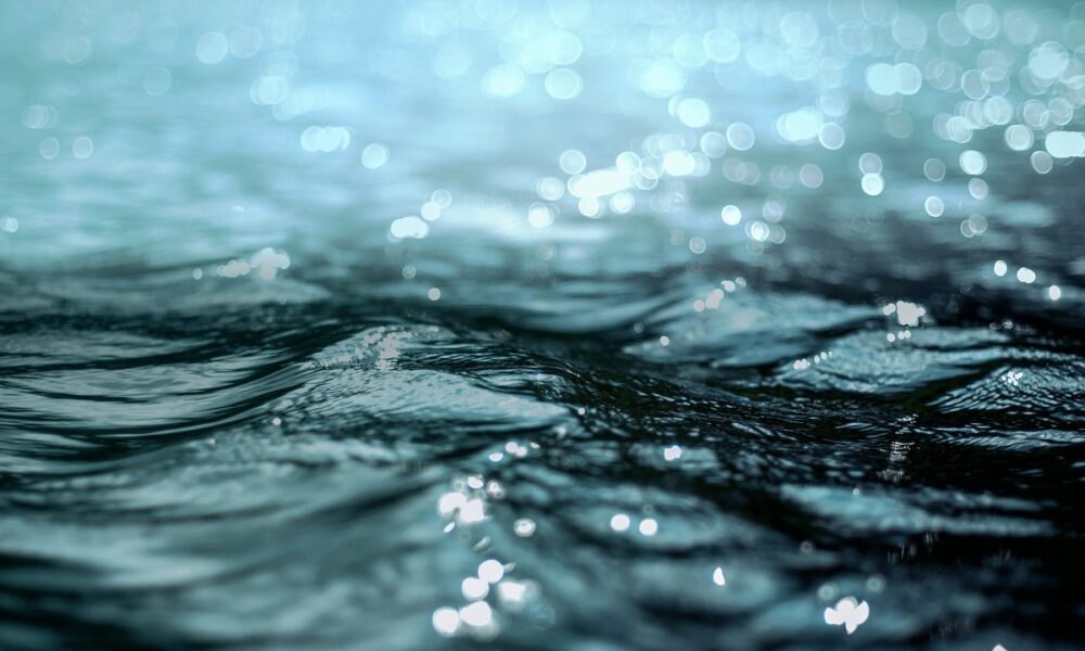 Ripple fordert Offenlegung der XRP-Bestände von SEC-Mitarbeitern