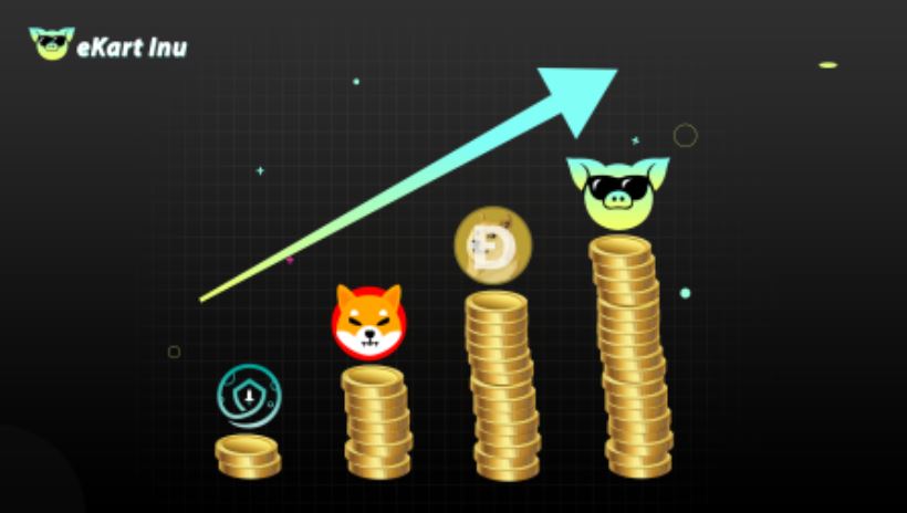 Ekart Inu: Ein Allrounder des Kryptomarktes