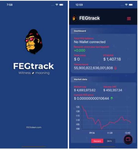Neugestaltung der DeFi-Struktur mit FEG-Token0 (0)